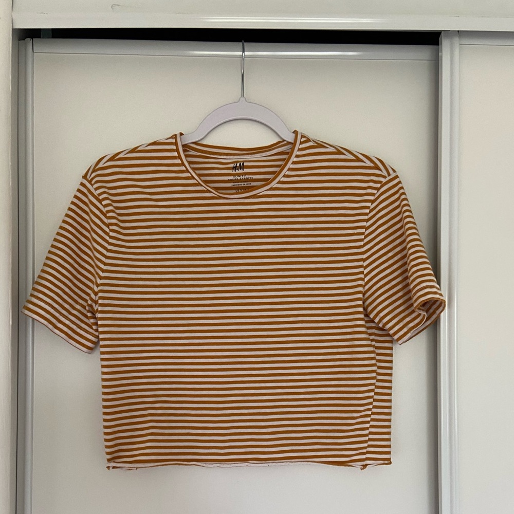 Striped Cropped Tee